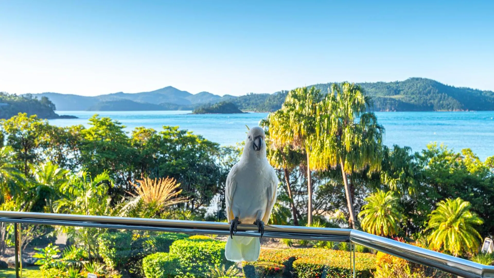 Lagoon Apartments On Hamilton Island By Hiha